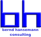 bernd hansemann consulting